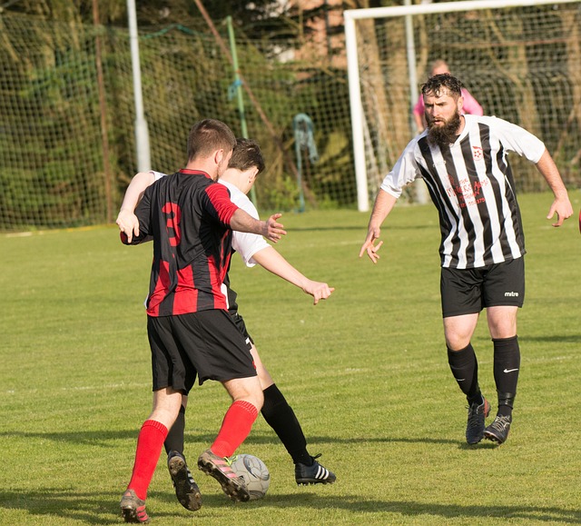 应和战略调 应和战略调