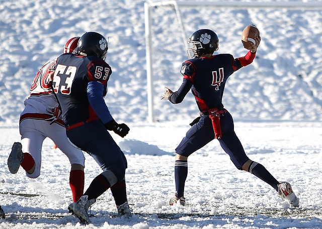 兰斯的防守 兰斯的防守