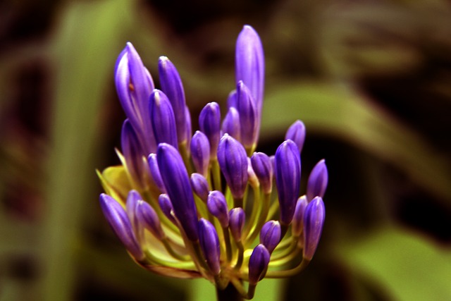 在中东地区 在中东地区