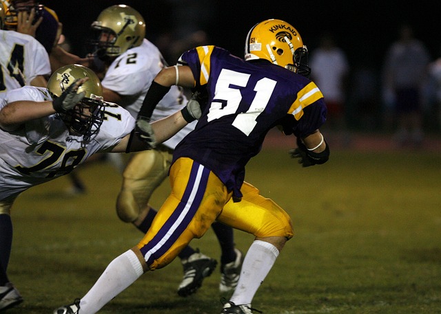 可扩展性极 可扩展性极