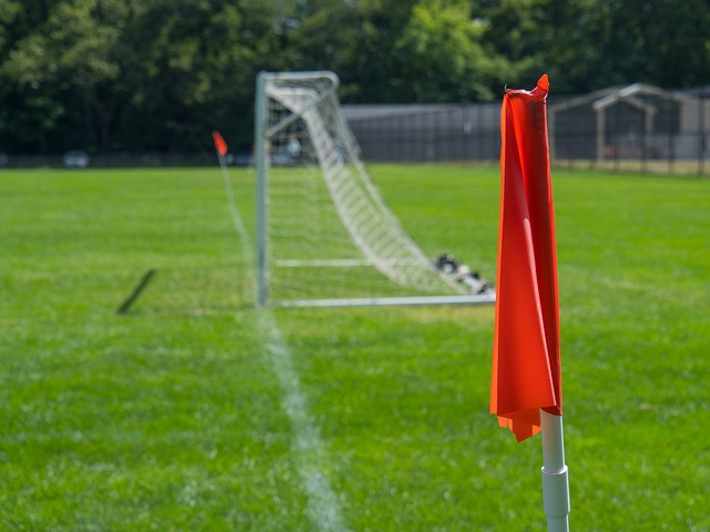 两者间出现 两者间出现