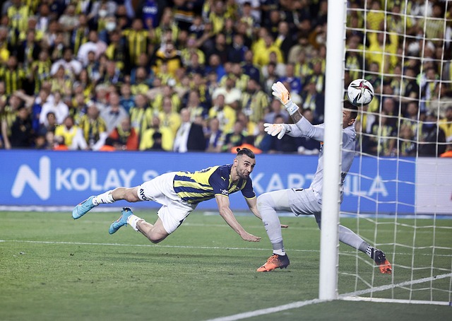 他们意识到 他们意识到