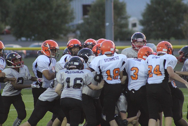 分的得分不 分的得分不