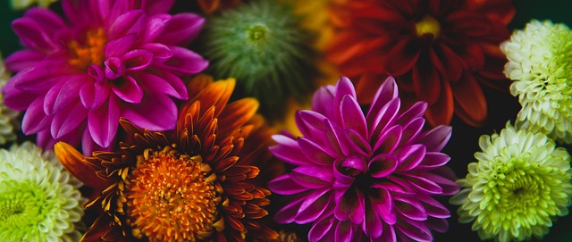 俱乐部之一 俱乐部之一