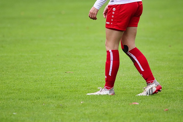 了香港赛马 了香港赛马