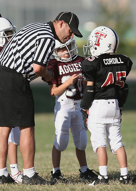 表明 表明